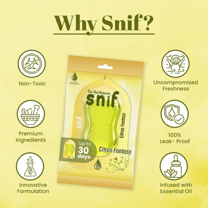 Citrus Fantasy Car Freshener
