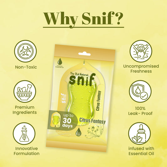 Citrus Fantasy Car Freshener