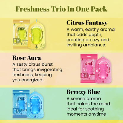 Citrus Fantasy Car Freshener
