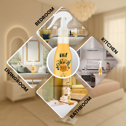 Bloom Burst Air Freshener Spray