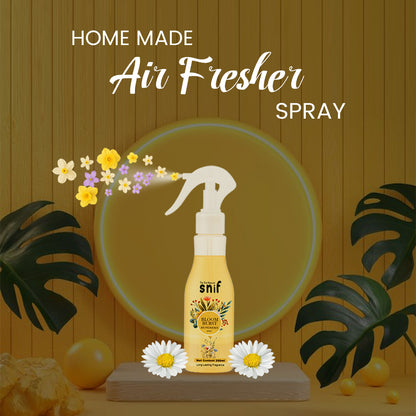 Bloom Burst Air Freshener Spray