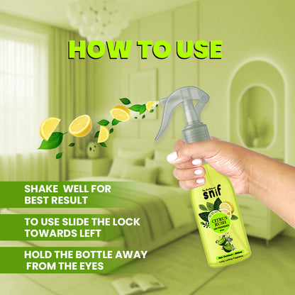 Citrus Rush Air Freshener Spray