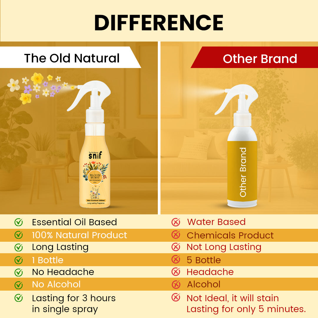 Bloom Burst Air Freshener Spray