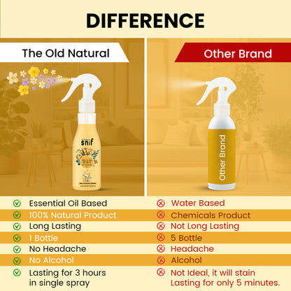 Bloom Burst Air Freshener Spray